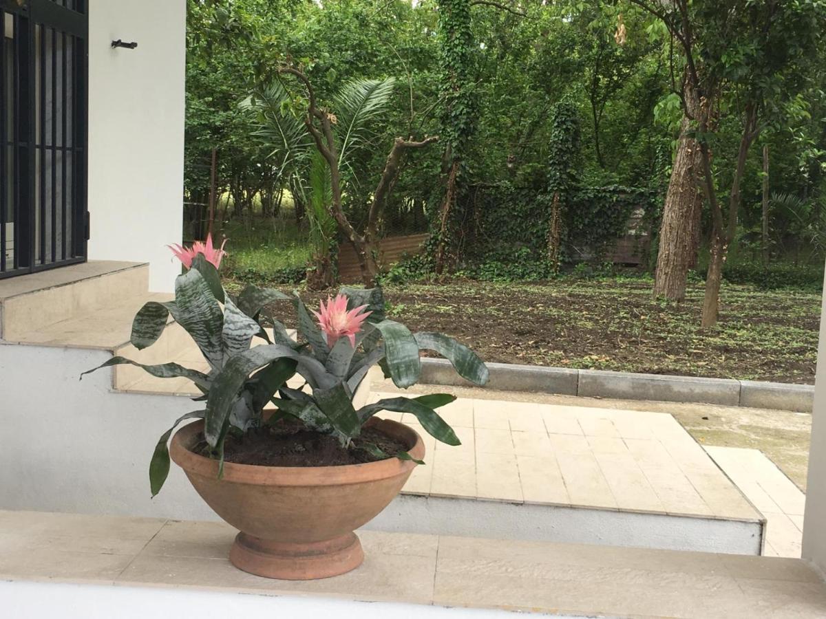 La Villetta B&B Scisciano 外观 照片